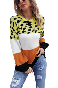 Sweater Animal Print Color Block Sweater Trendsi